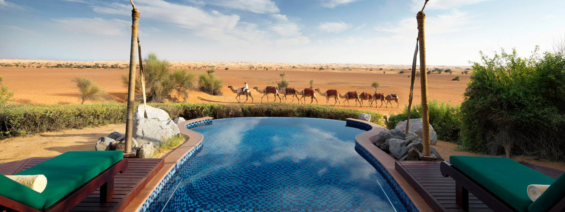 Fork-marketing-banner-1