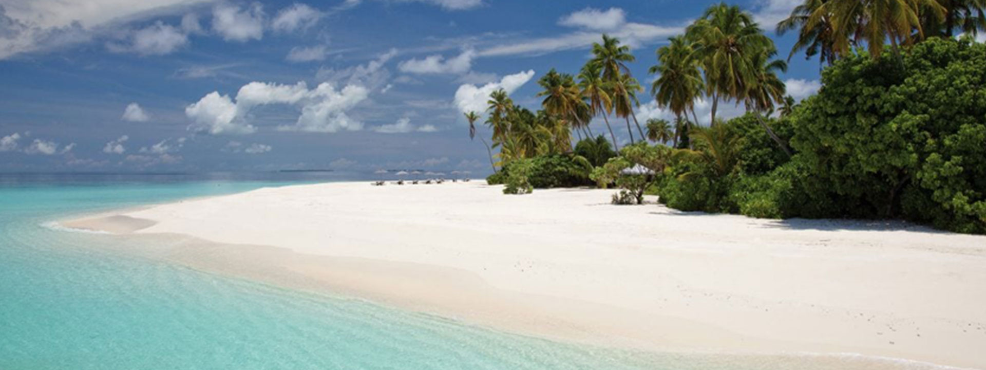 Fork-marketing-banner-2